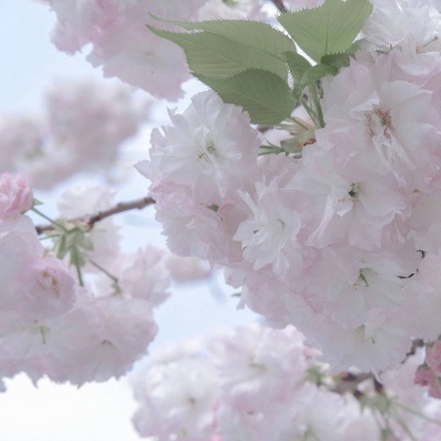 Furry插画细节提升干货兽圈社群